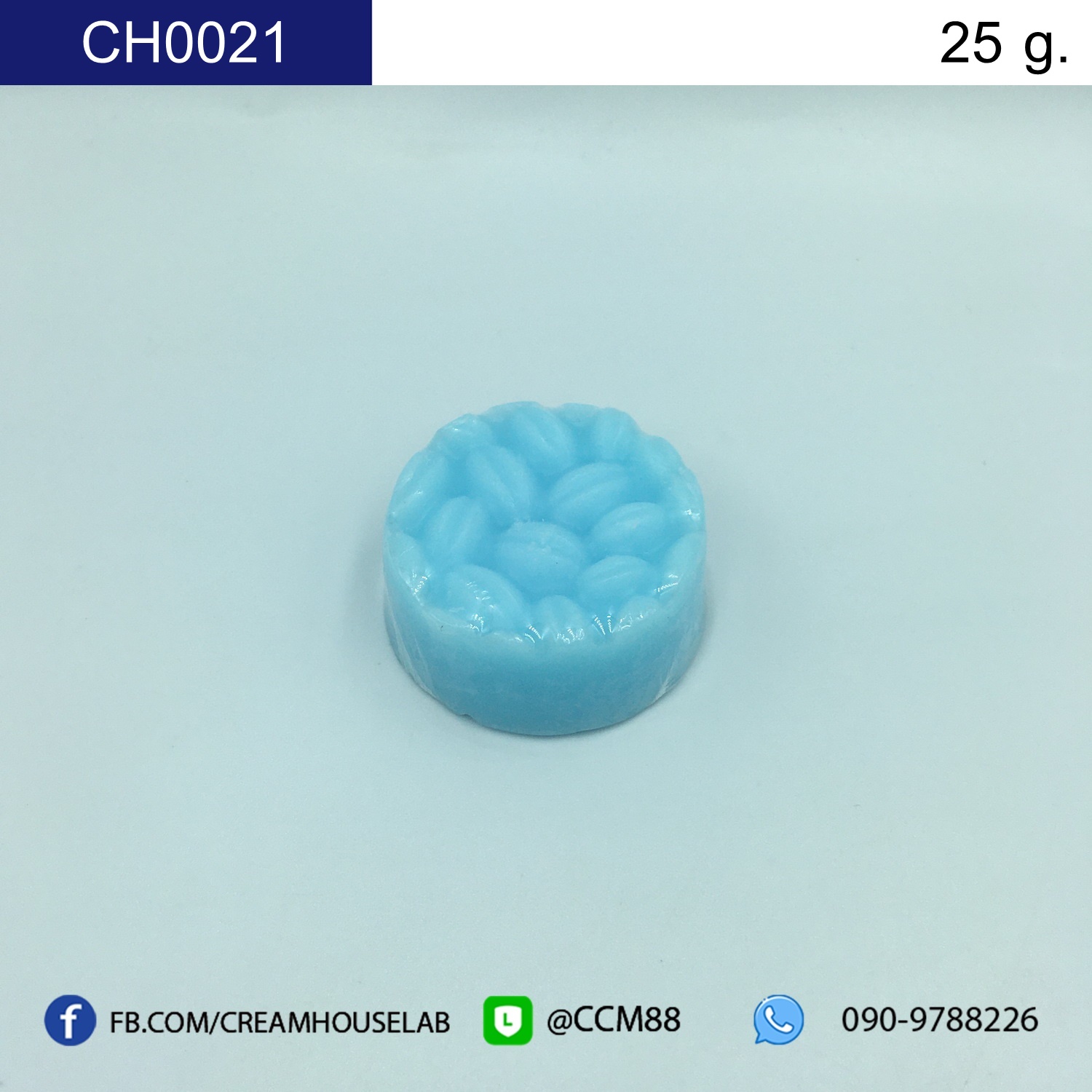 รหัส CH0021