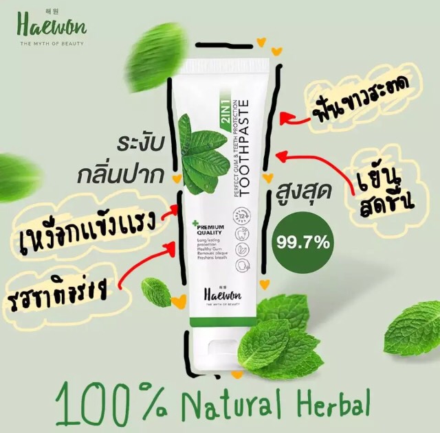 Haewon 2in1 Perfect Gum & Teeth Protection Toothpaste 80g