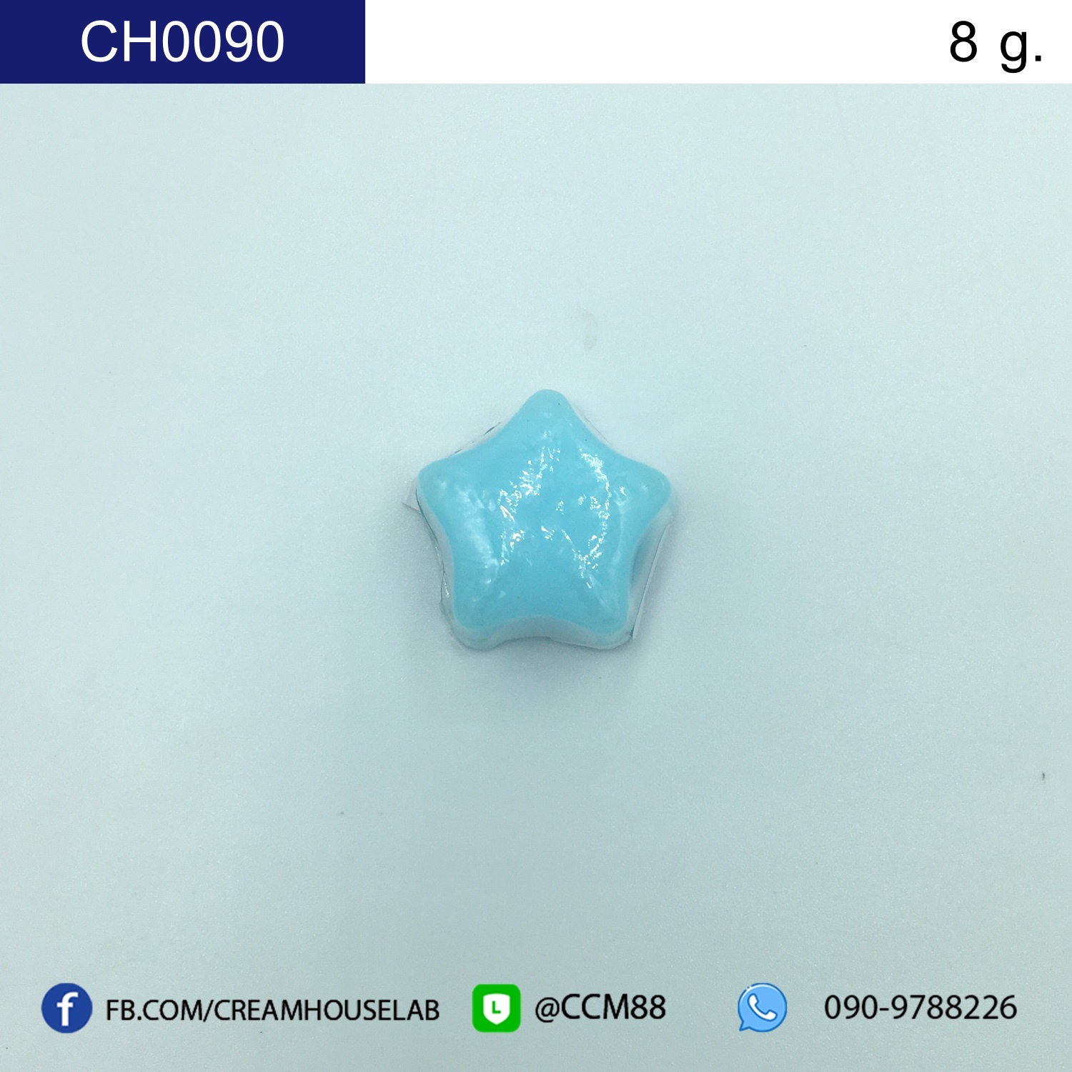 รหัส CH0090