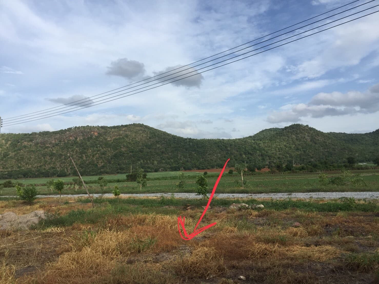 ขายที่ดินจัดสรรค์สวยราคาถูกติดถนน 3 ด้านห่างทุ่งดินดำรีสอร์ท 548 เมตร ใกล้อบต. เลาขวัญ 2.8 กม. รพ.เลาขวัญ4.8กม.อ.อู่ทอง จ.สุพรรณบุรี