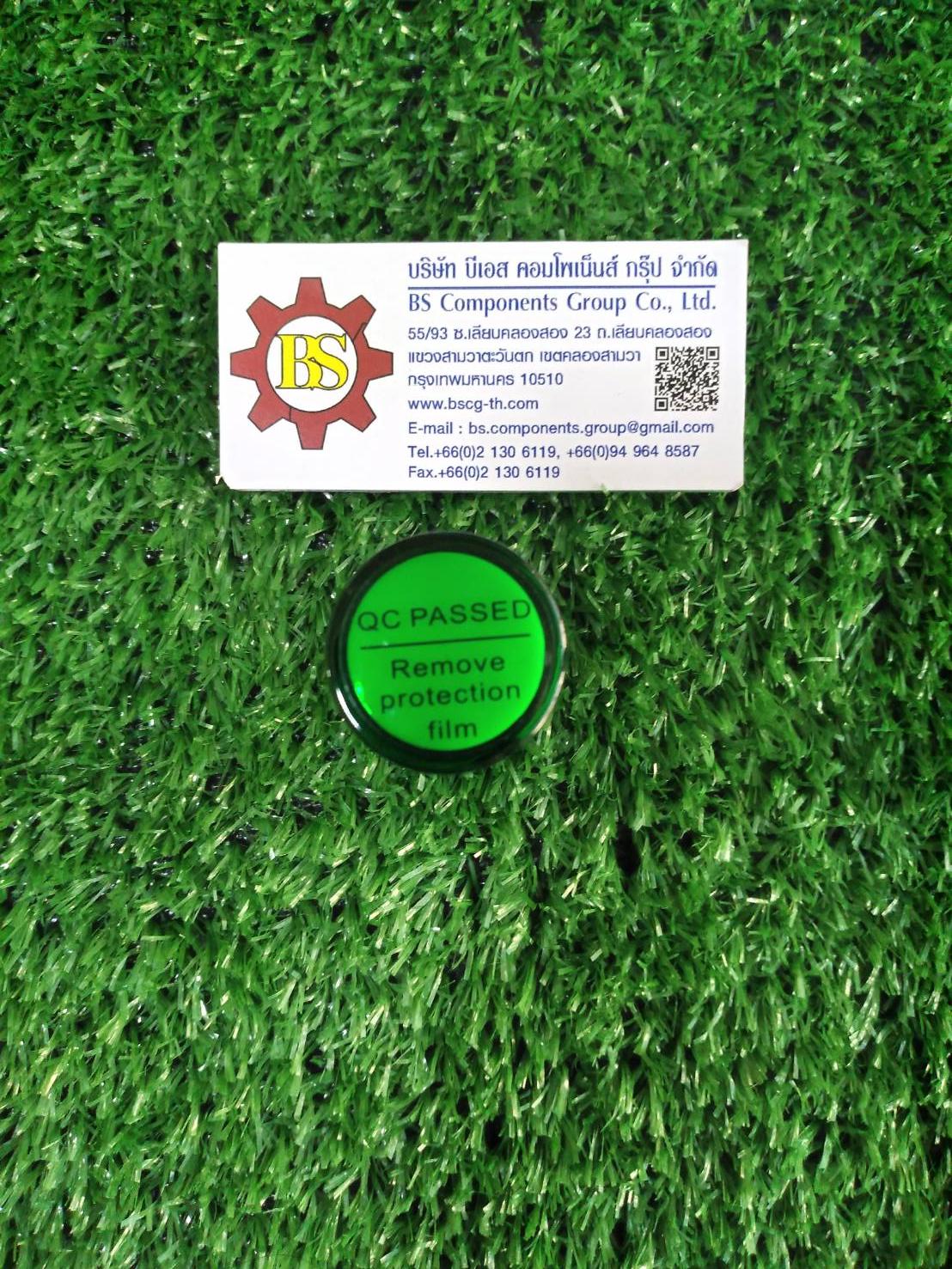 SHINOHAWA : LED Lamp 22mm. Green 220VAC