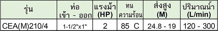 LOWARA ปั๊มน้ำแสตนเลส รุ่น CEA(M)210/4 ไฟฟ้า220V