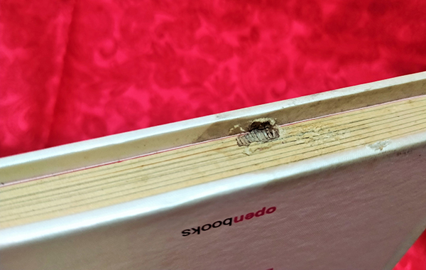 วิชาสุดท้าย (ที่มหาวิทยาลัยไม่ได้สอน) เล่ม 1-2 Special Edition