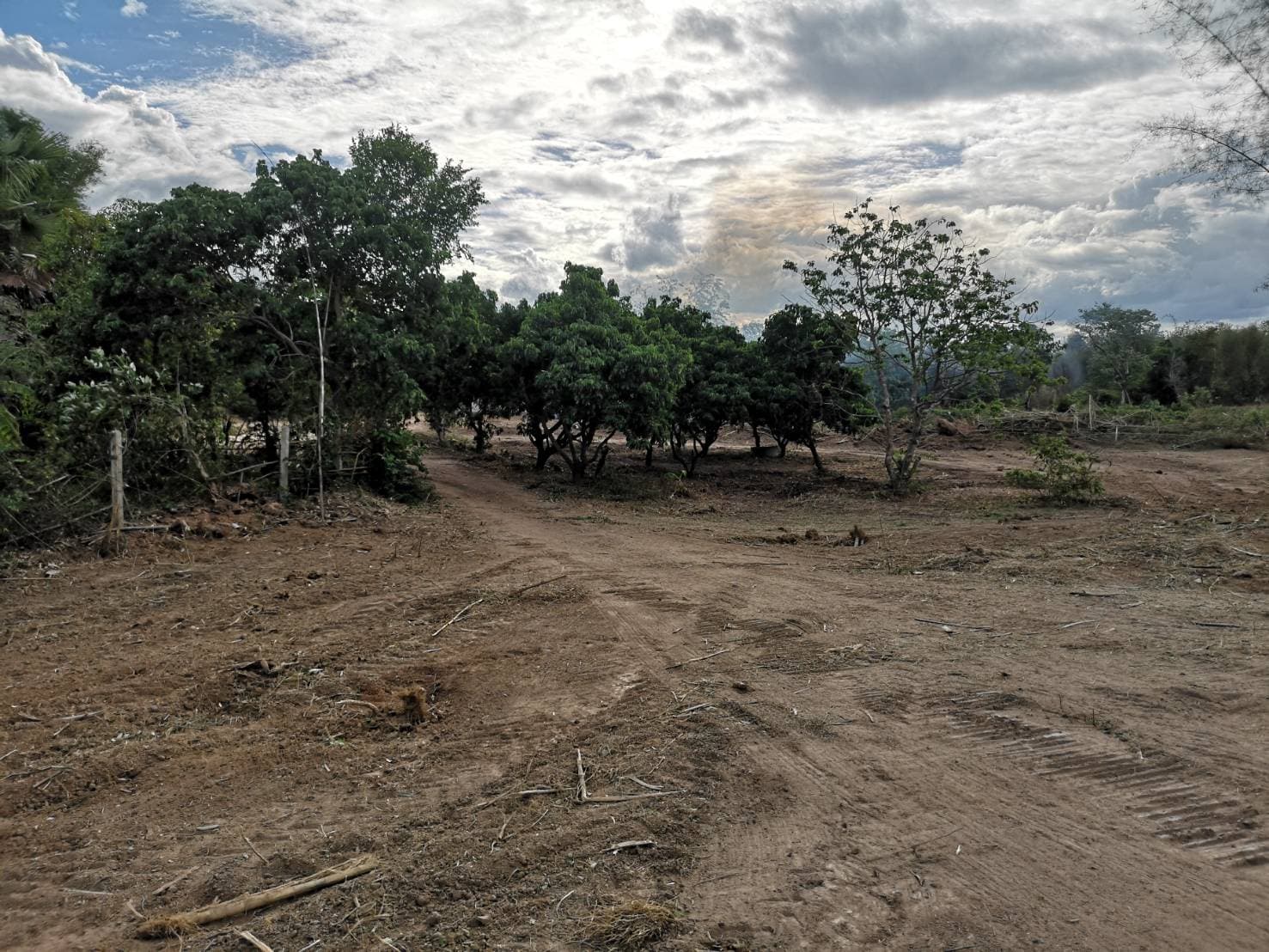 ด่วนขายที่ดินพร้อมบ้านสวนราคาถูกที่สุดมีประปาพร้อมใช้งานเนื้อที่ิ 5 ไร่ 2 งาน 69 ตรว. บ้านนาฟาน ต.ดอนไฟ อ.แม่ทะ จ.ลำปาง