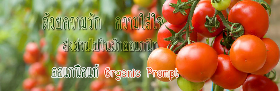 organicprompt