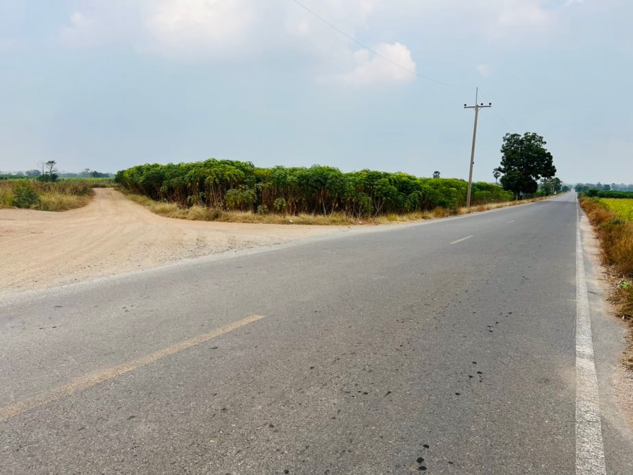 ขายที่ดินราคาถูก1.5แสนบาท/ไร่ อ.พยุหะคีรีจ.นครสวรรค์ใกล้อบต.เขาทองที่ดินสวยเหมาะทำการเกษตรปัจจุบันให้เช่าทำไร่อ้อย(มีผู้เช่า)บรรยากาศดีเดินทางสะดวก