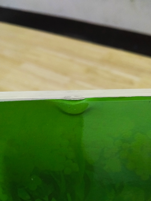 เลือดรักทระนง