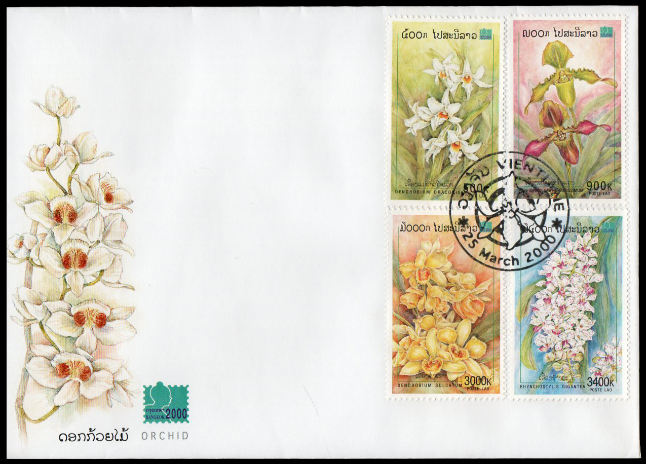 Orchid 2000