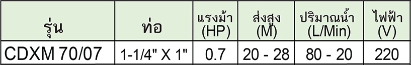 EBARA ปั๊มหอยโข่งสเตนเลส รุ่น CDXM 70/07
