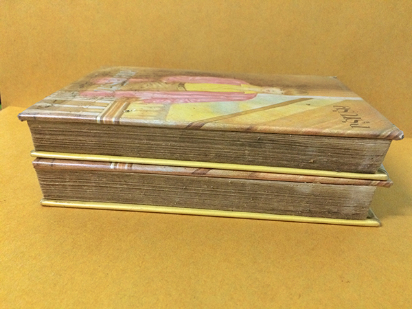 คาเมย์ริต้า (1-2เล่มจบ)