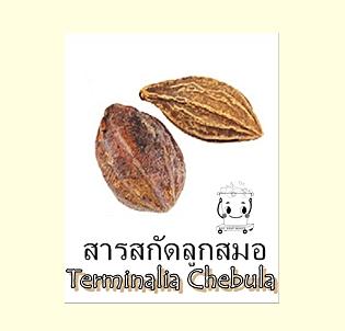 MYROBALANS EXTRACT สารสกัดลูกสมอ