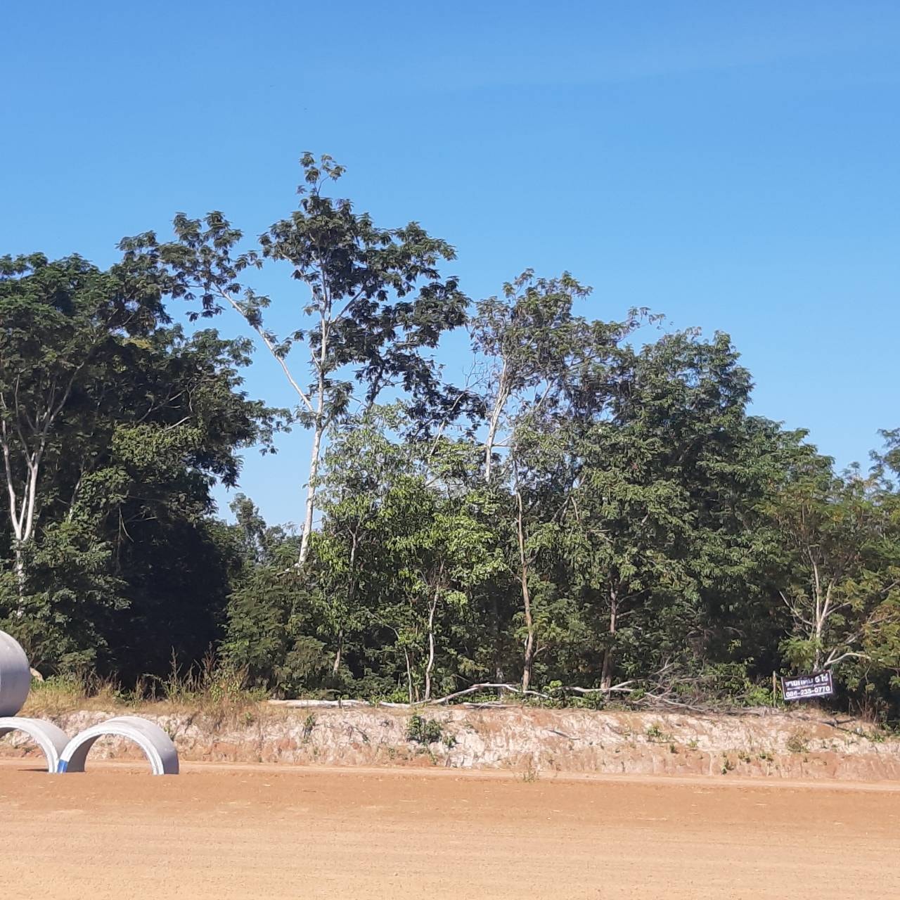 ขายที่ดินสวยบรรยากาศดีการเดินทางสะดวกสบายอำเภอเมืองหนองคาย พื้นที่ติดกัน 3 แปลงรวม26 ไร่ 3 งาน 1 ตรว. ใกล้เขตเทศบาลเมืองหนองคายเหมาะแก่การทำบ้านสวน รีสอร์ท