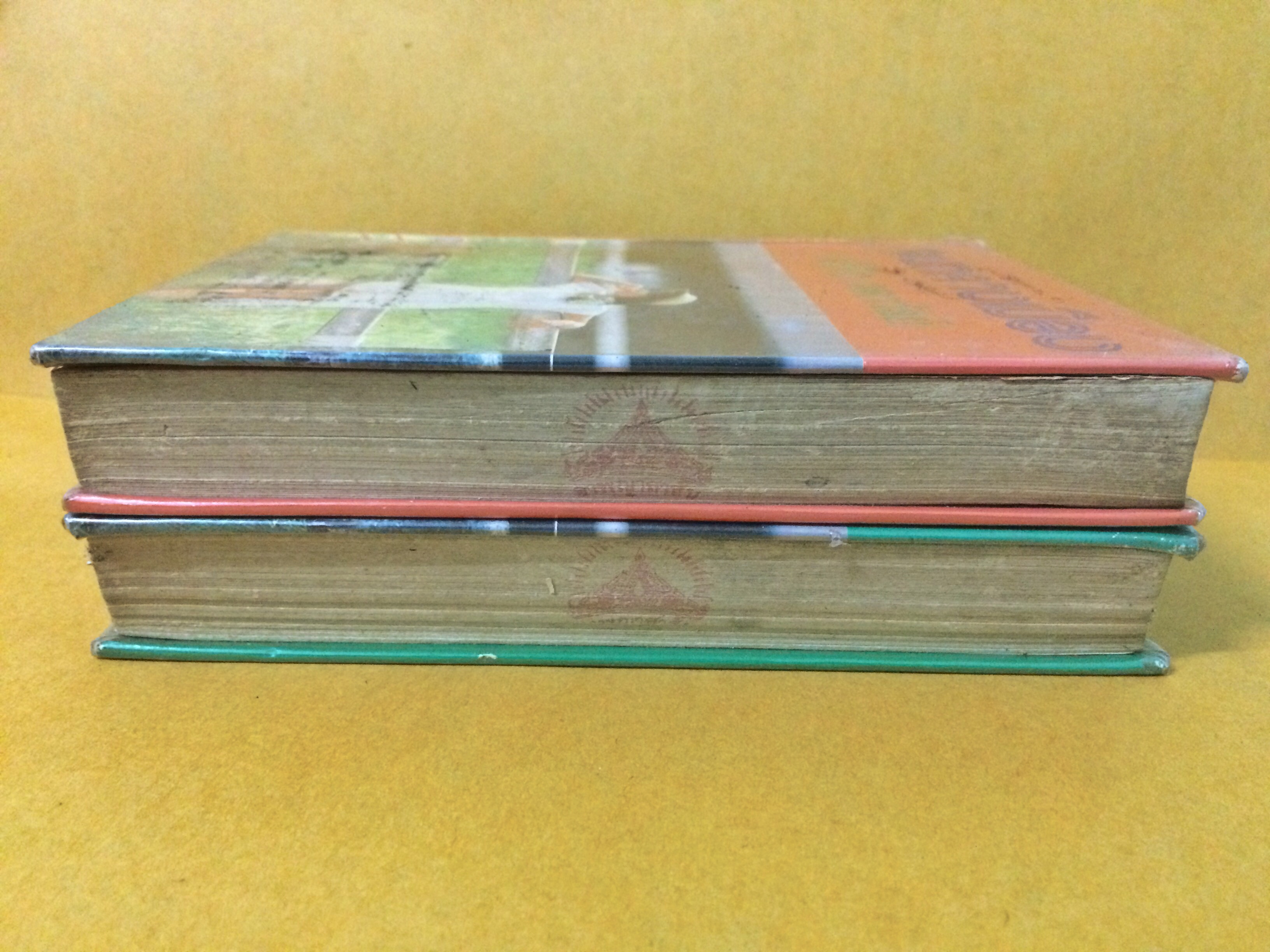 คนกลางเมือง (1-2เล่มจบ)