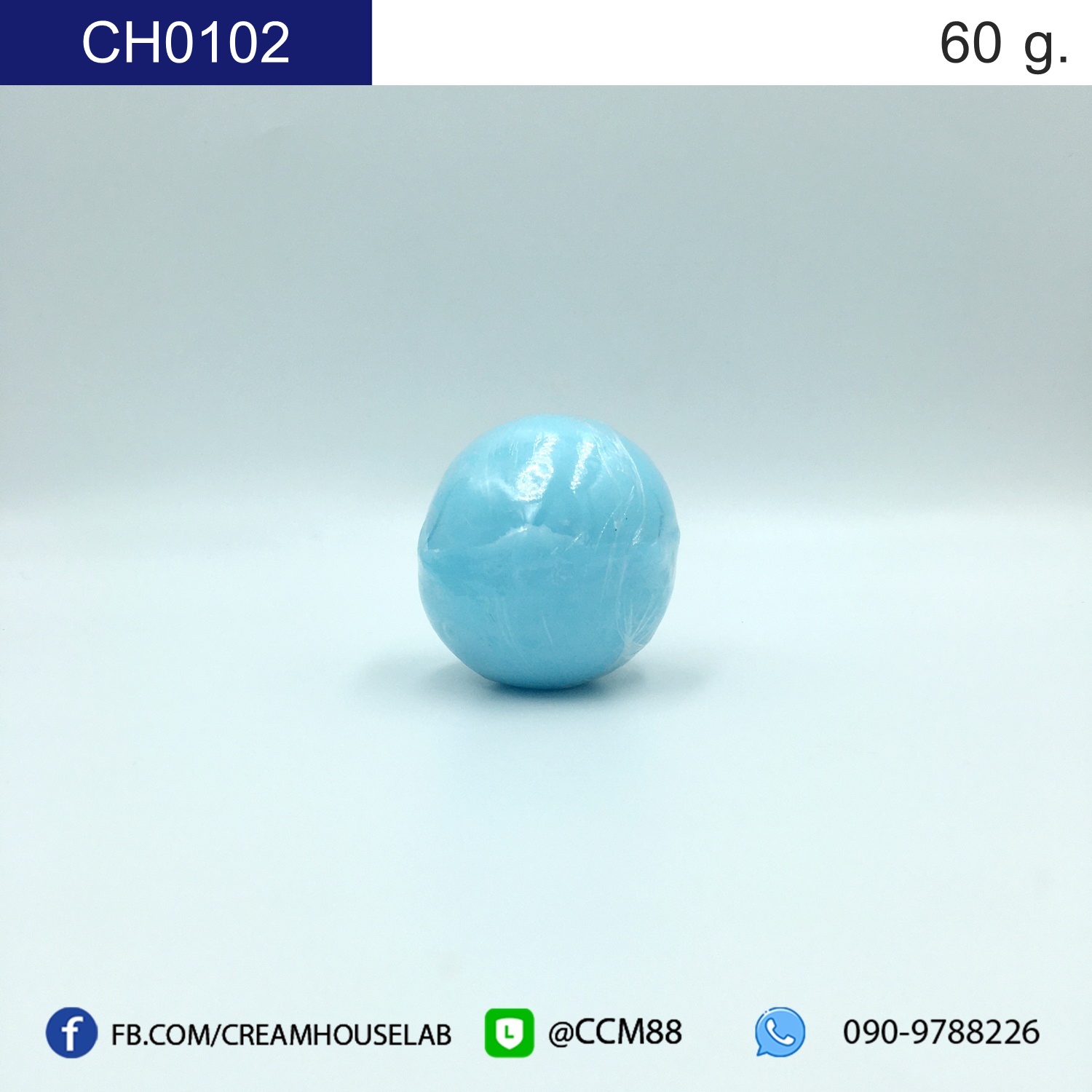 รหัส CH0102