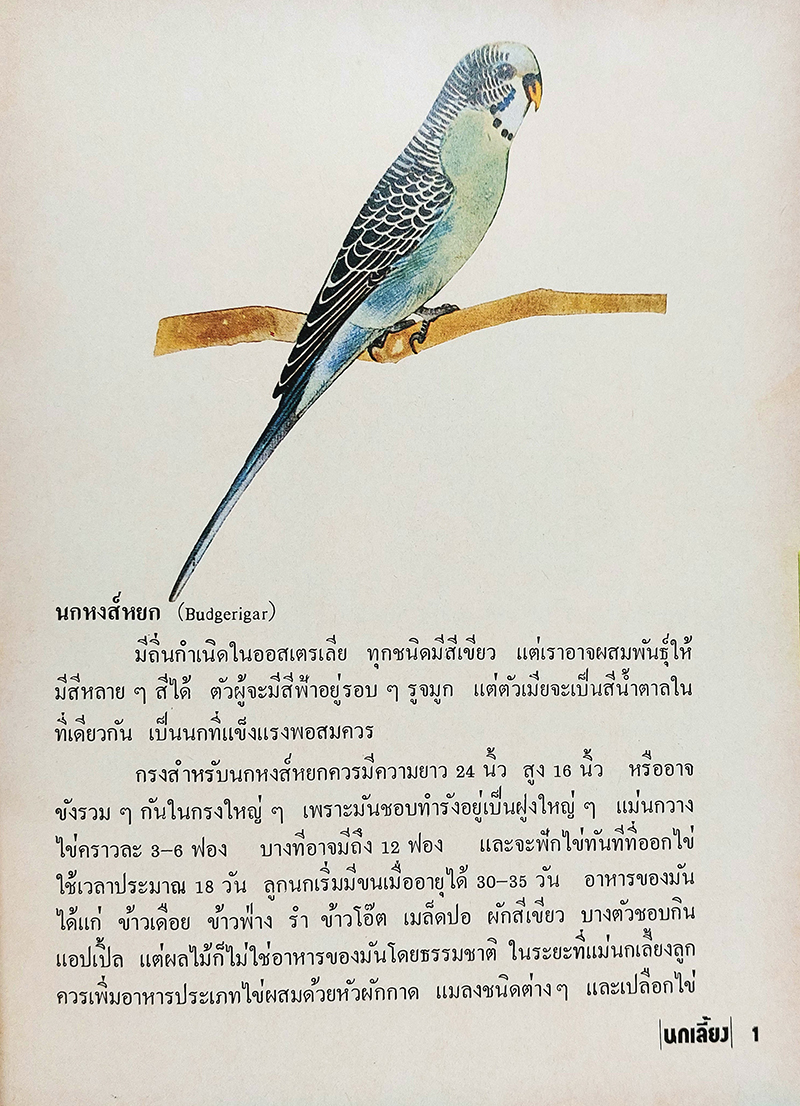 หนังสือชุดสวนสัตว์อนุชน นกเลี้ยง