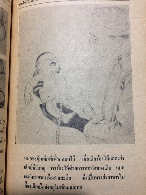 เพศศึกษา