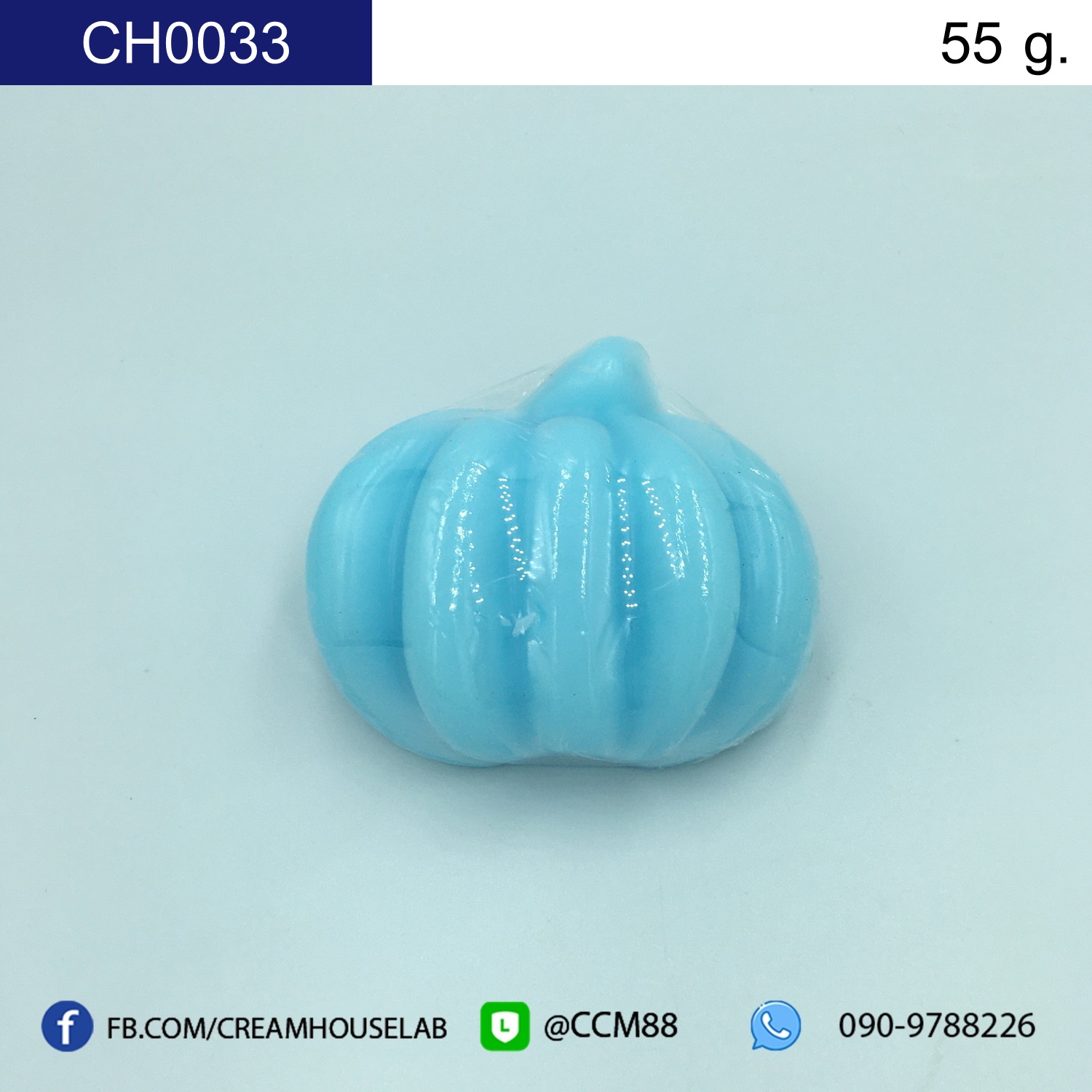 รหัส CH0033