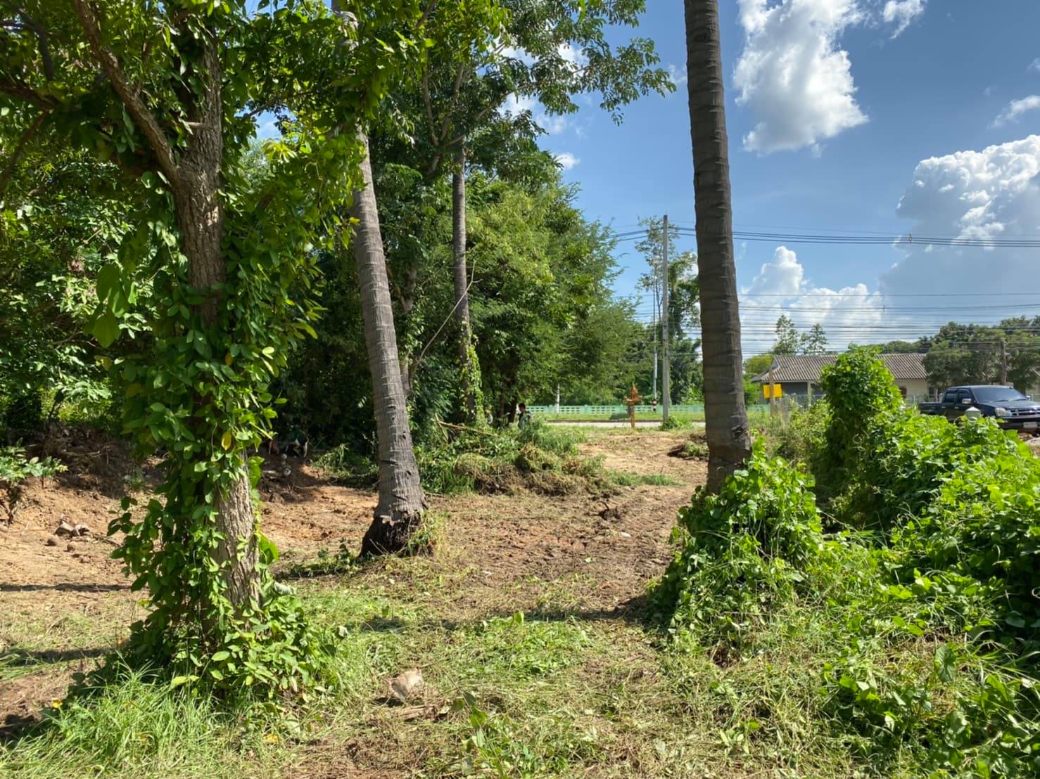 ขายที่ดินสวยราคาถูกติดถนนใหญ่ อ.บ้านด่านลานหอย จ.สุโขทัยห่างโรงเรียนบ้านด่านลานหอยวิทยา 112 เมตรเหมาะแก่การทำธุรกิจ