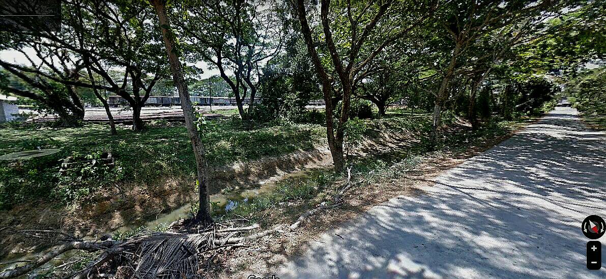 ขายที่ดินสวยราคาถูก อ.ร่อนพิบูลย์จ.นครศรีธรรมราช3 ไร่3งาน 33.9 ตรว.