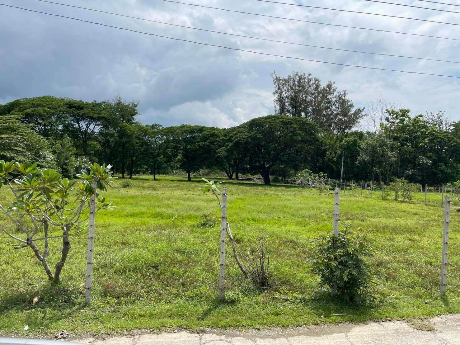 ที่ดินเจ้าของขายเองใกล้มหาวิทยาลัยแม่โจ้ใกล้เคียงที่ดินเป็นบ้านจัดสรรทางเข้าออกสะดวกเหมาะลงทุนทำธุรกิจพัฒนาที่ดิน 8 ไร่ 1 งาน 64.1 ตารางวา อ.สันทราย จ.เชียงใหม่