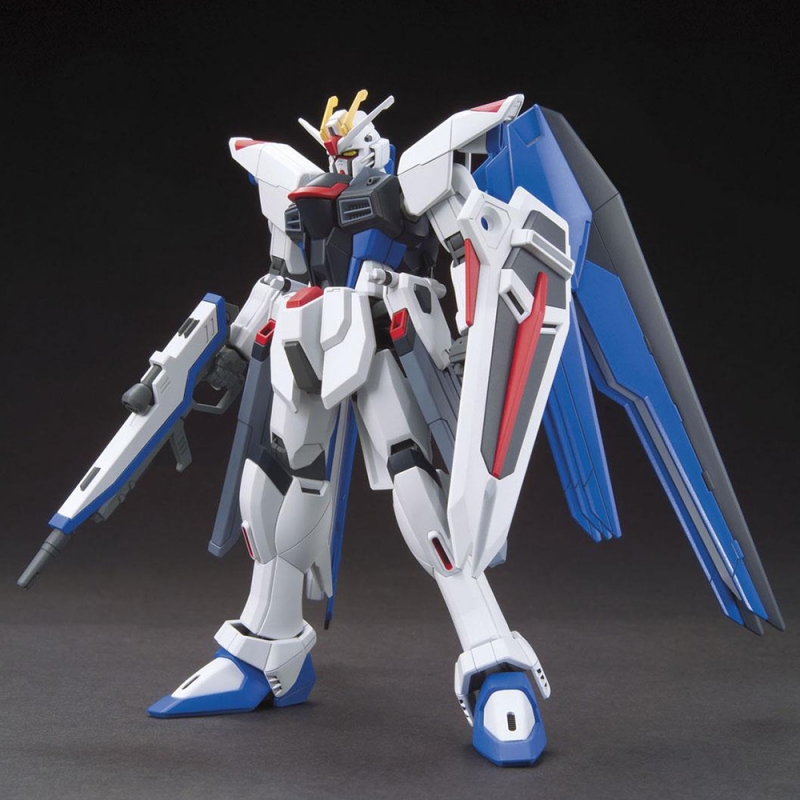 (Daban) HG 1/144 FREEDOM GUNDAM (129)