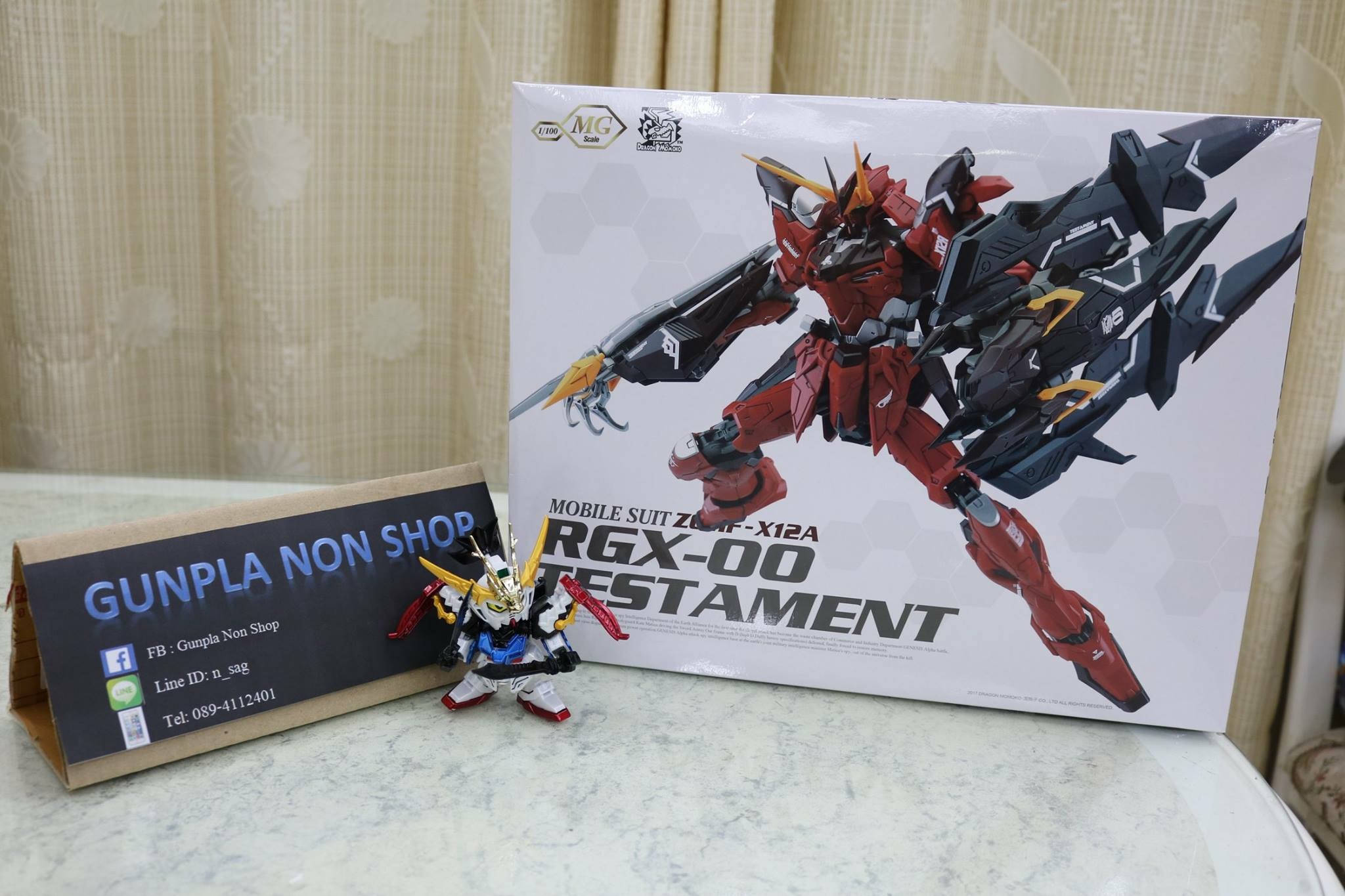 MG 1/100 ZGMF-X12A Gundam Testament [Momoko]