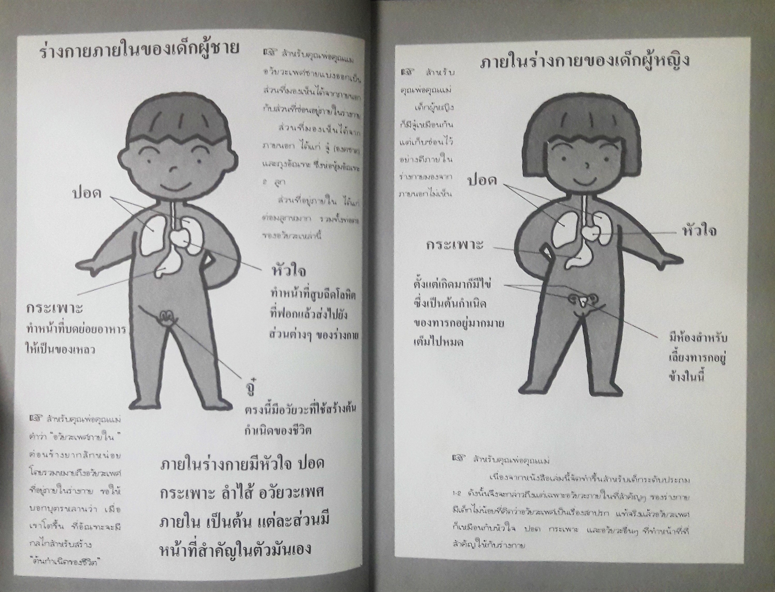 การ์ตูนเพศศึกษา ลำดับที่1 : ร่างกายของเรา สำหรับชั้นประถมปีที่ 1-2