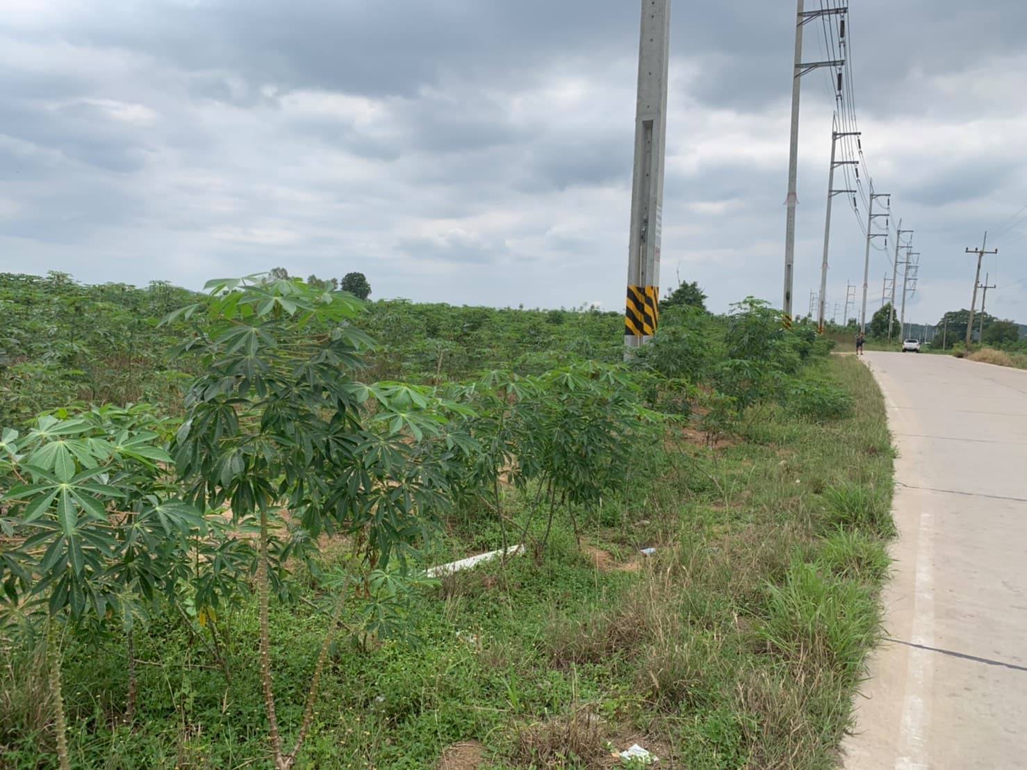 ขายที่ดินในเขตนิคมอุตสาหกรรมราคาถูกเหมาะทำธุรกิจพื้นที่กว้างเดินทางสะดวก6ไร่ติดถนนห้างแก้ว5อ.ปลวกแดงจ.ระยอง