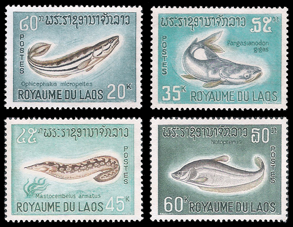 1967 Fish