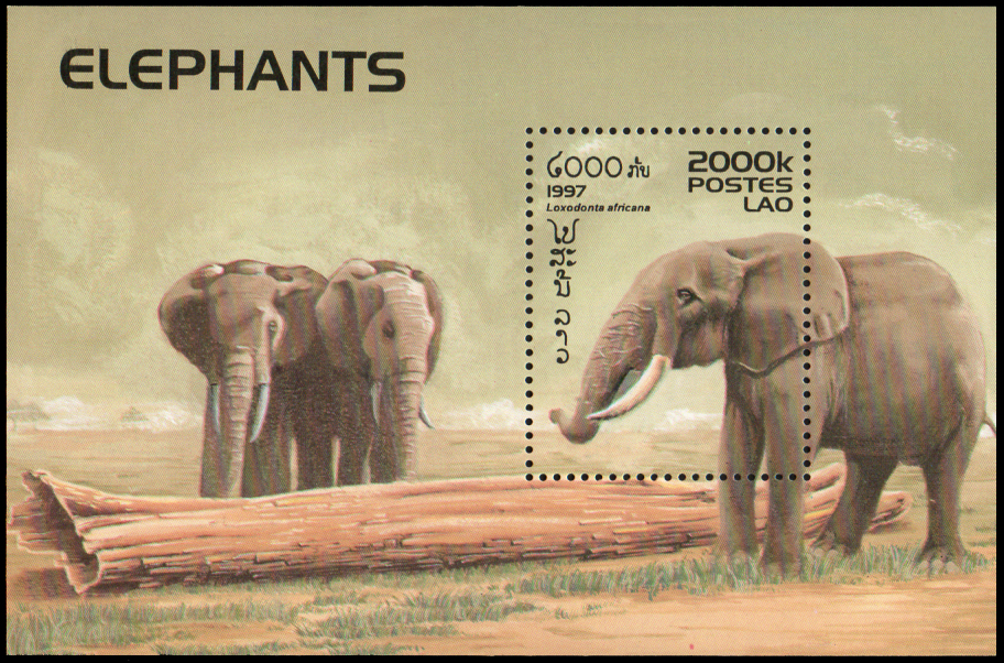 Elephants 1997
