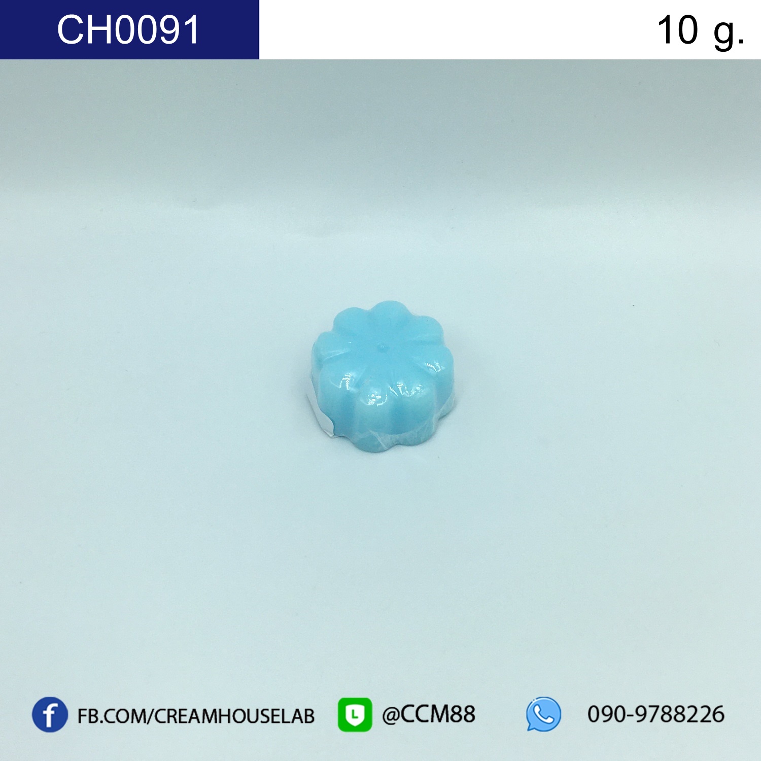รหัส CH0091