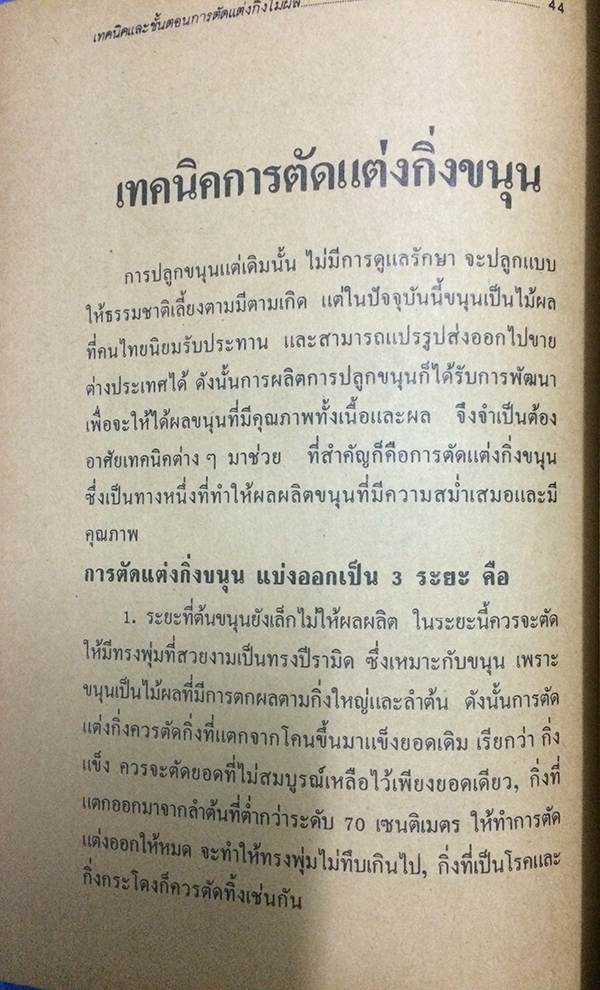 เทคนิคและขั้นตอนการตัดแต่งกิ่งไม้ผล