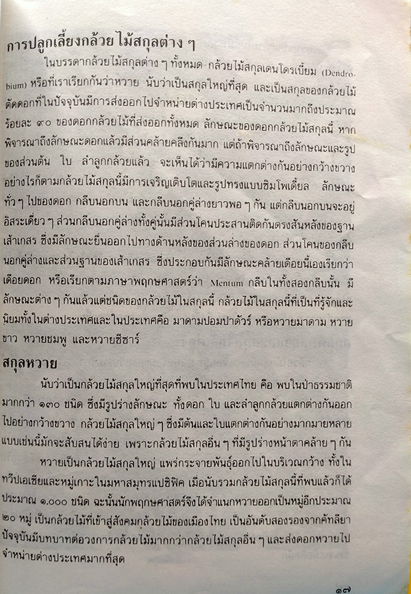 กล้วยไม้