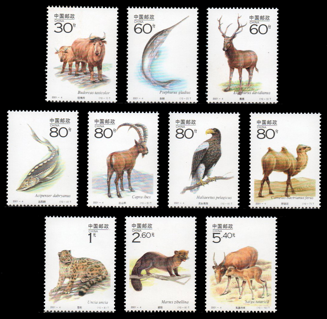 China Wild Life 2001
