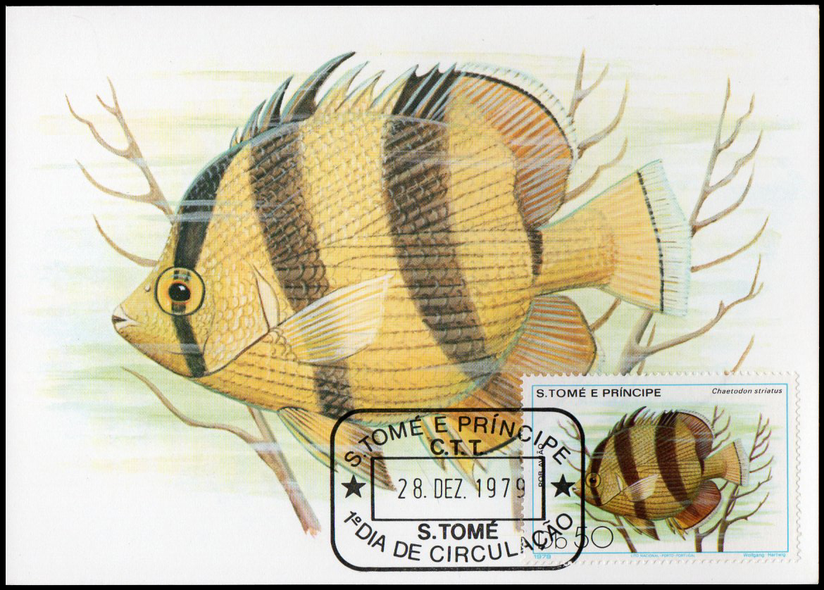 Post Card S.Tome E Principe Fish 1979