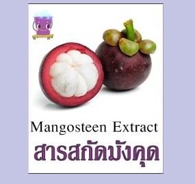 MANGOSTEEN EXTRACT สารสกัดมังคุด