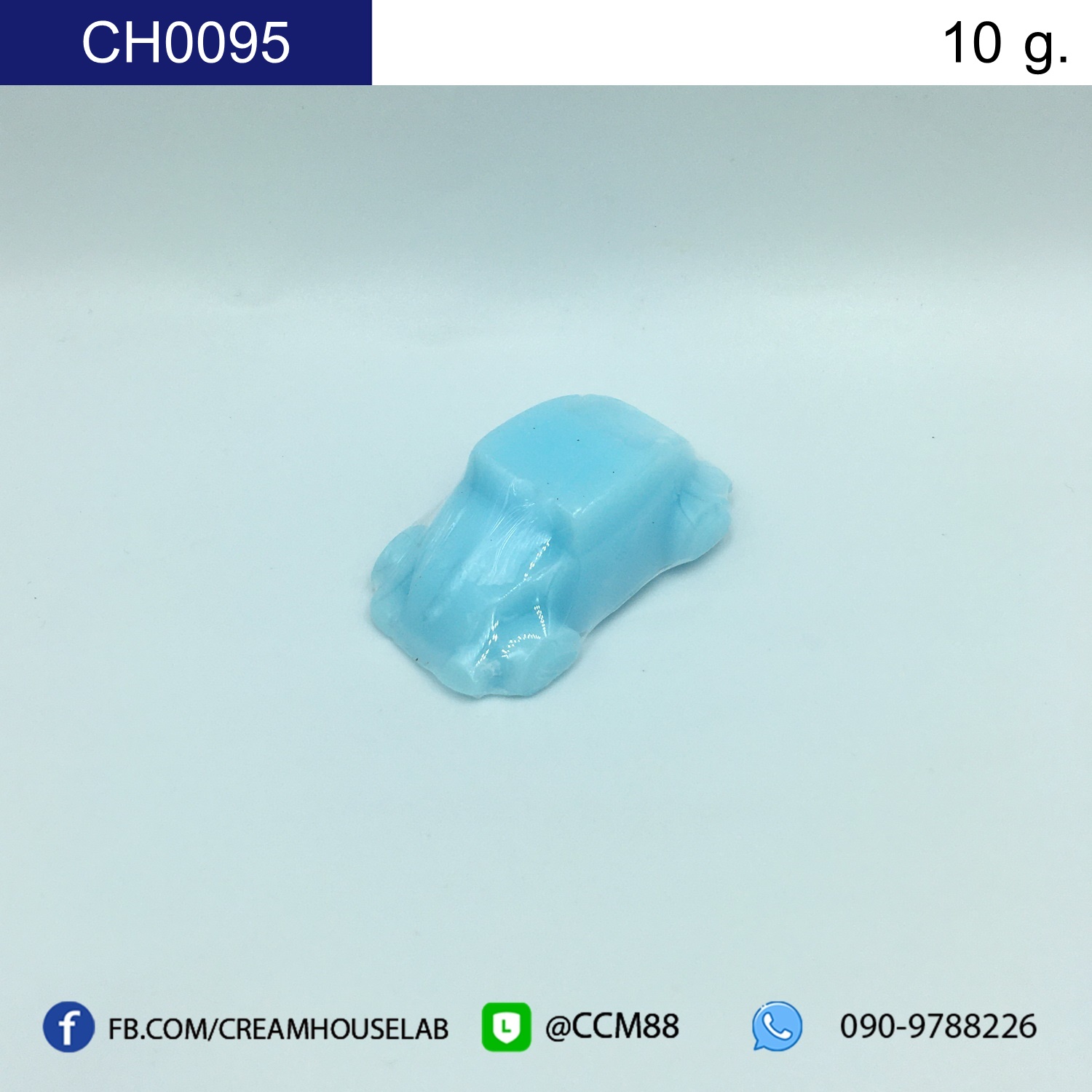 รหัส CH0095