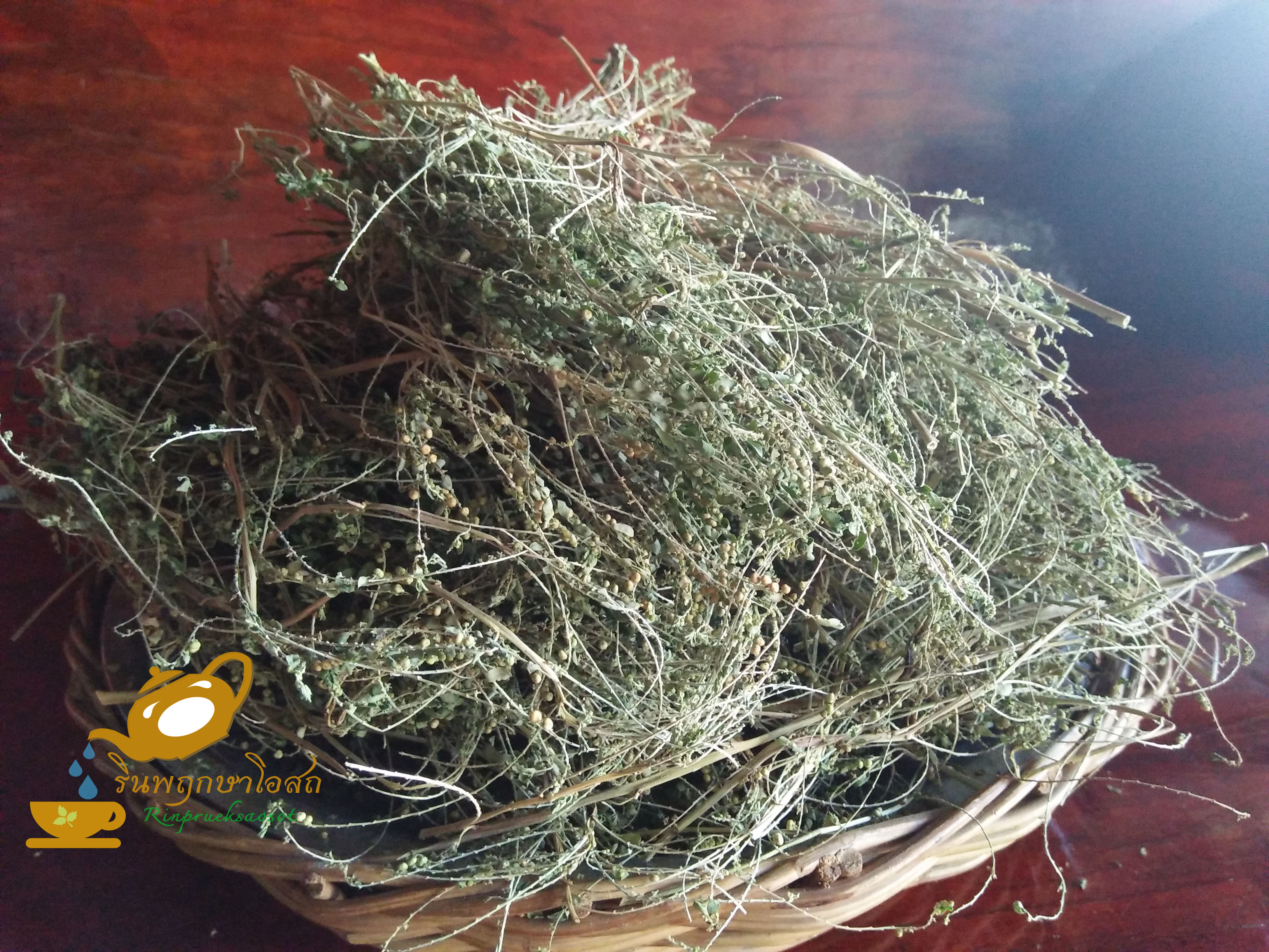 ลูกใต้ใบ 1Kg