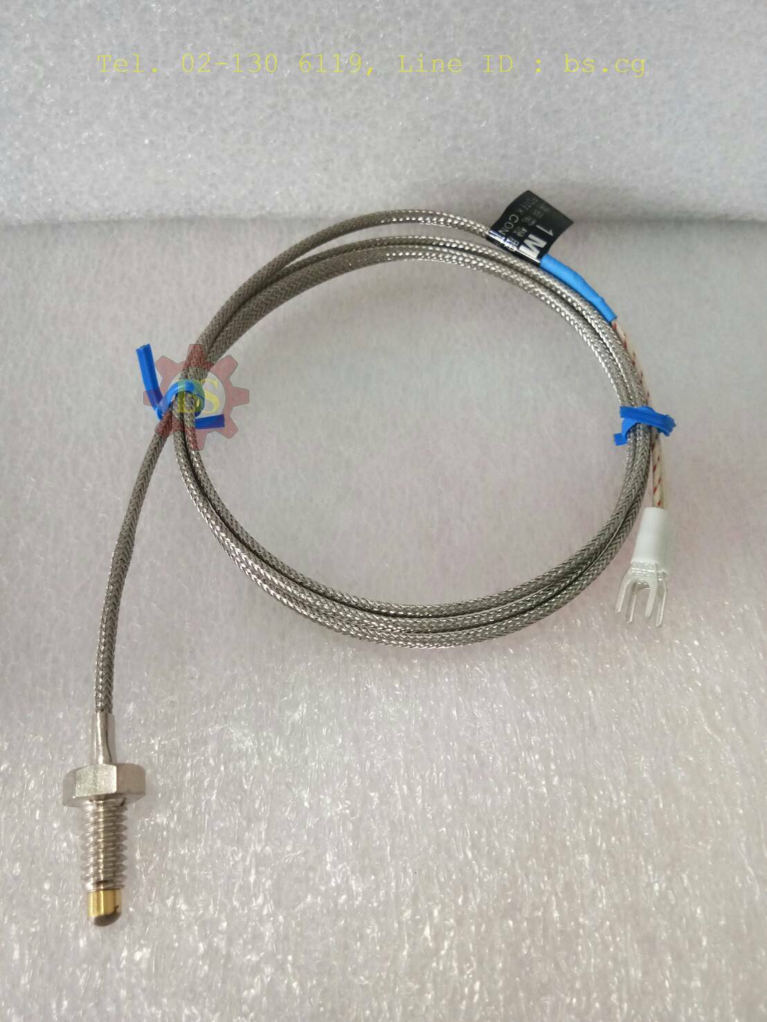 FOTEK: TS-1(2M)