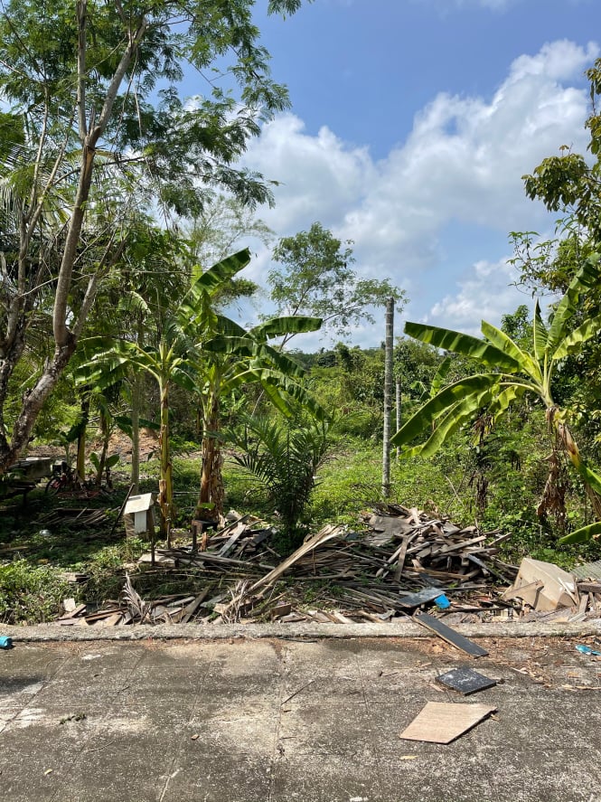 ขายที่ดินราคาถูกติดถนนใหญ่เพชรเกษม ตรงข้ามราชภัฏสวนดุสิตตรังอ.ห้วยยอดจ.ตรัง75ตรว.ใกล้โลตัสห้วยยอด 1 กม.เหมาะแก่การทำธุรกิจราคา2.1ล้านบาท