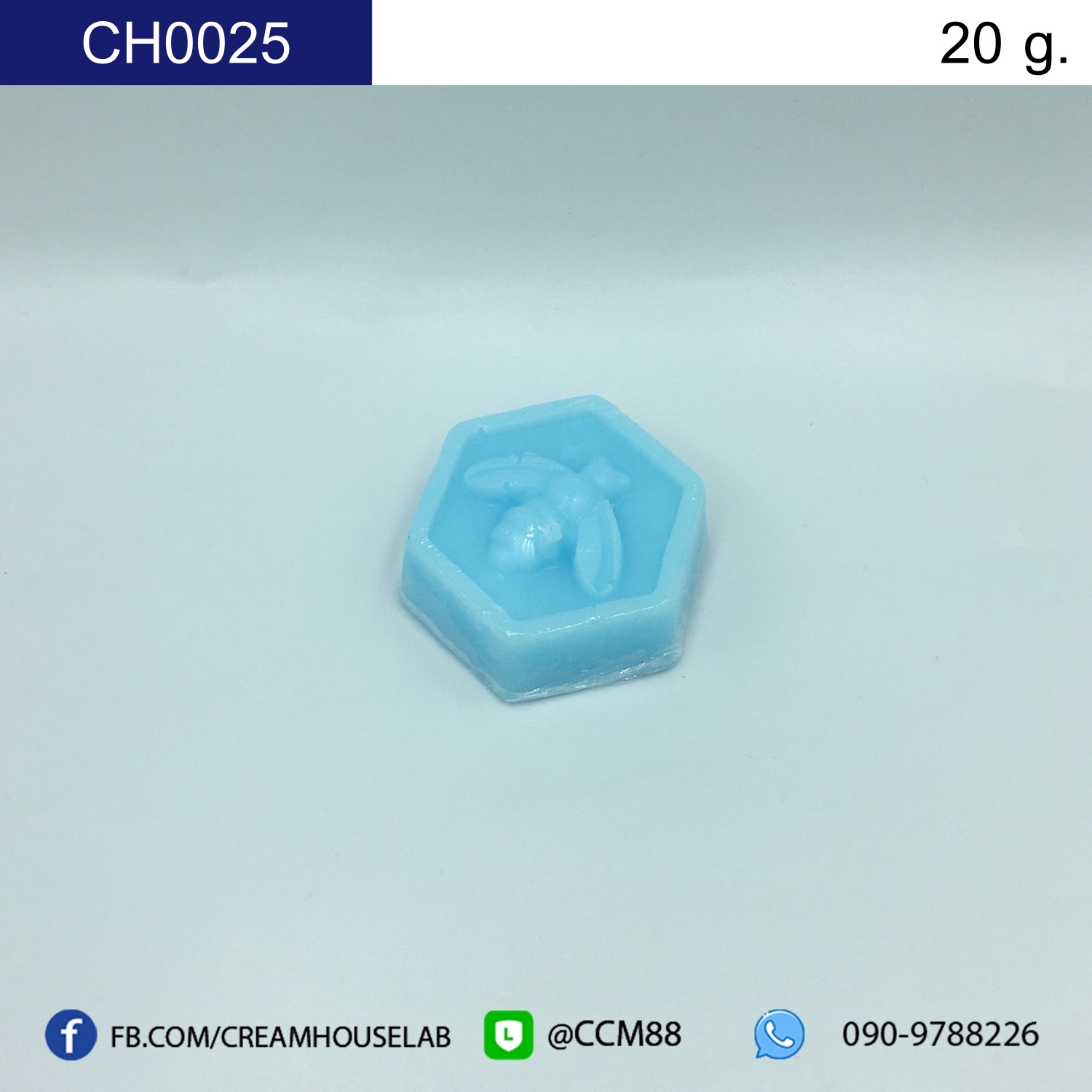 รหัส CH0025