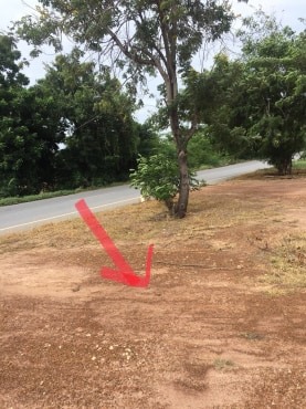 ขายบ้านพร้อมที่ดินราคาถูกติดถนนใหญ่หมายเลข (3468) ห่างจาก อบต.บ้านโข้ง 876 เมตร