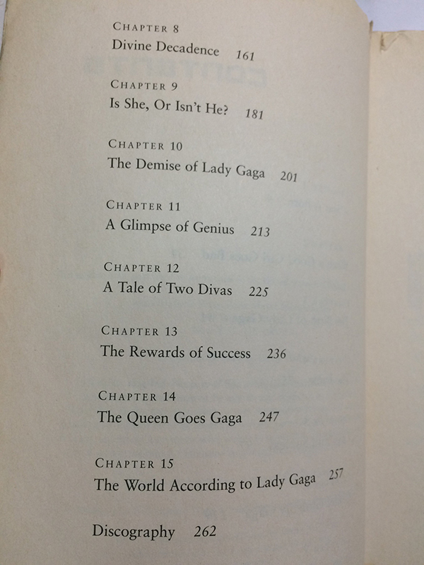 Lady Gaga Behind The Fame