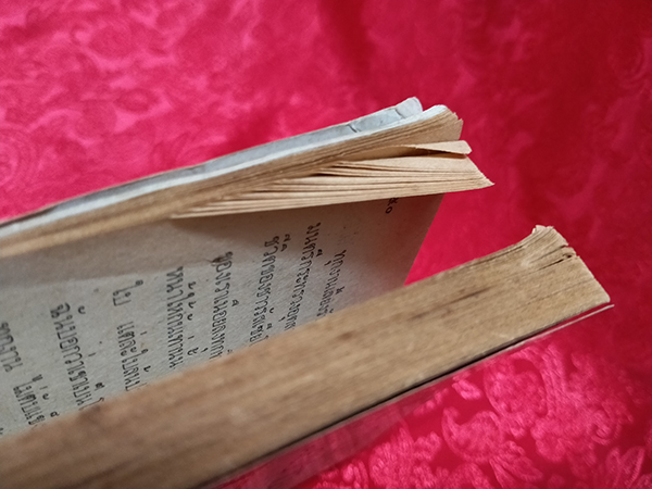 มาร์กาเร็ต ทรูโด ท่านผู้หญิงร้อนทำเนียบ (Beyond Reason)