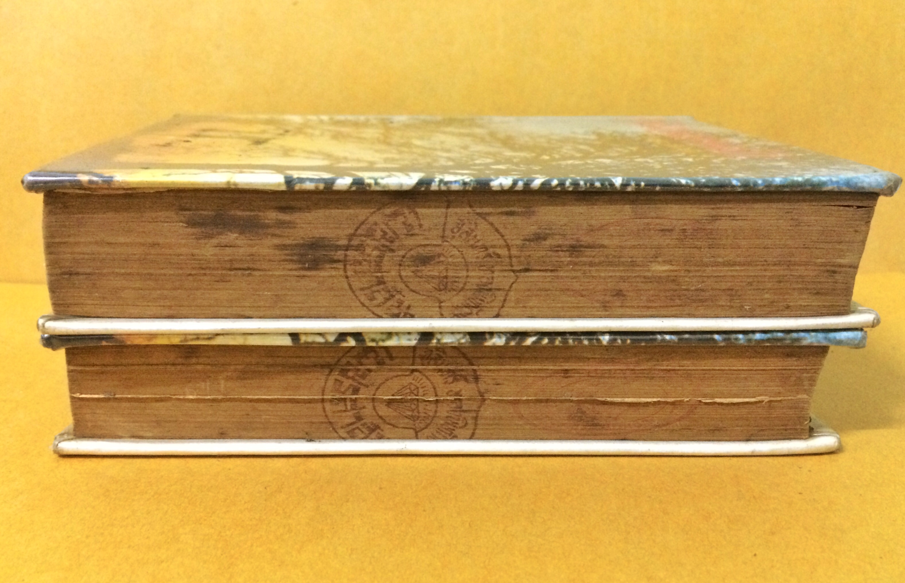 จักรวาลยอดรัก (1-2เล่มจบ)