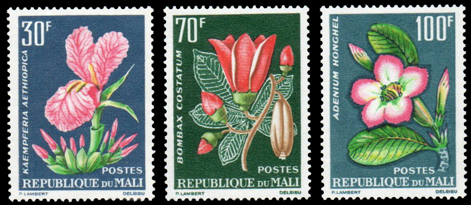 1963 Tropical Flora