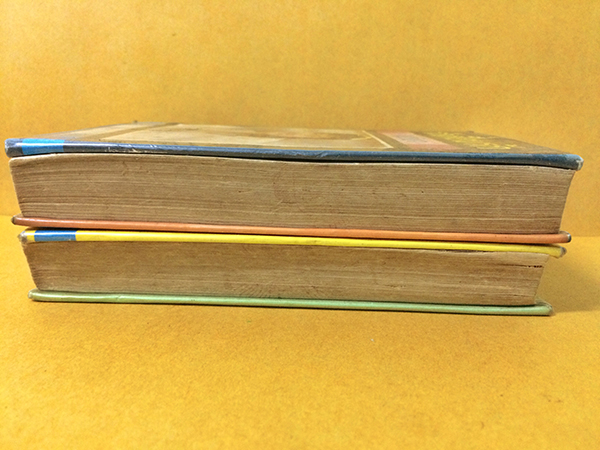 รักเพื่อนรัก (1-2เล่มจบ)