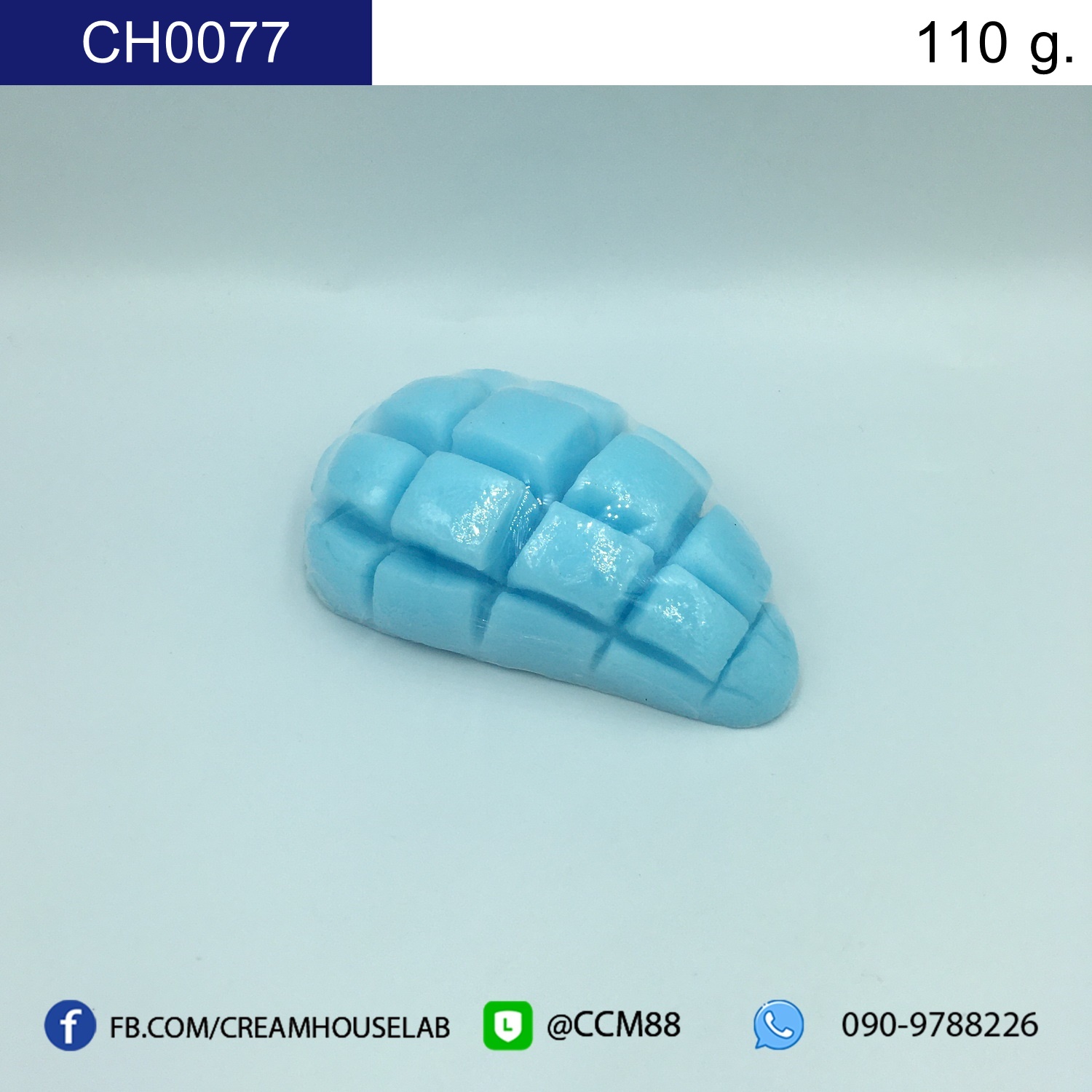 รหัส CH0077