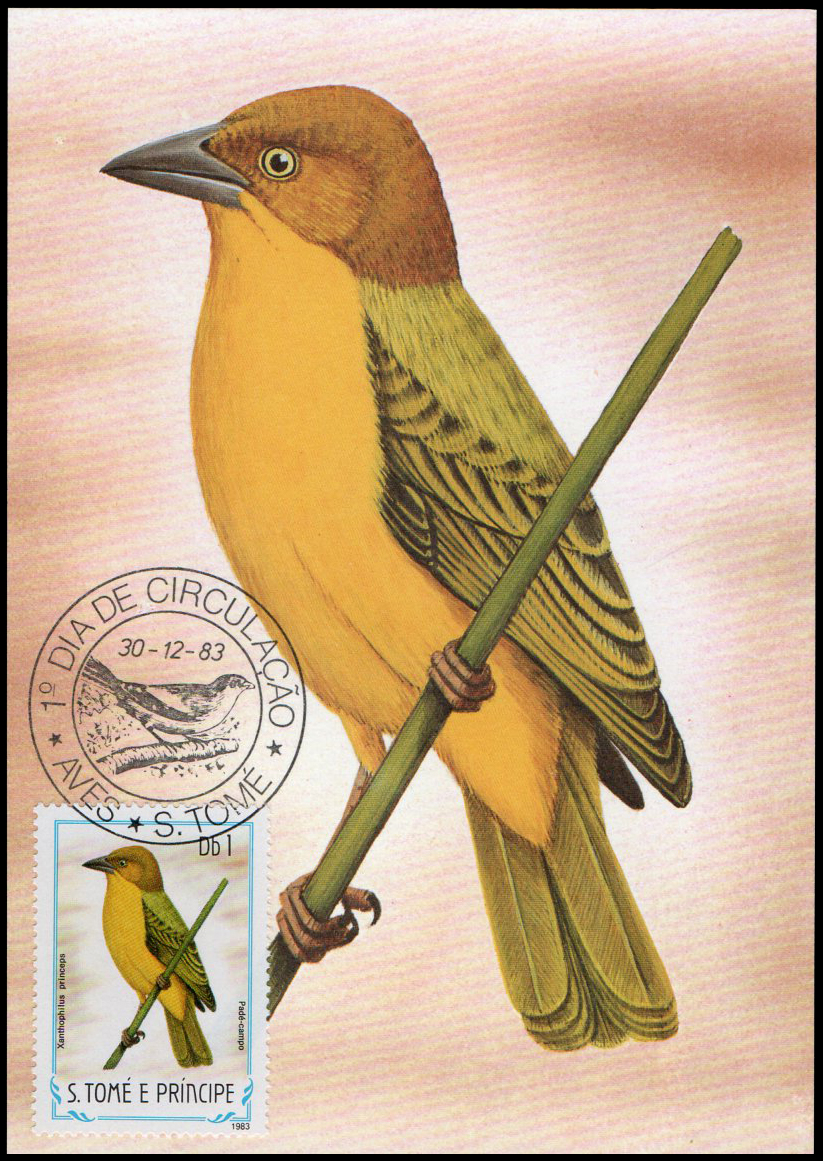 Post Cards S.Tome E Principe Bird 1983