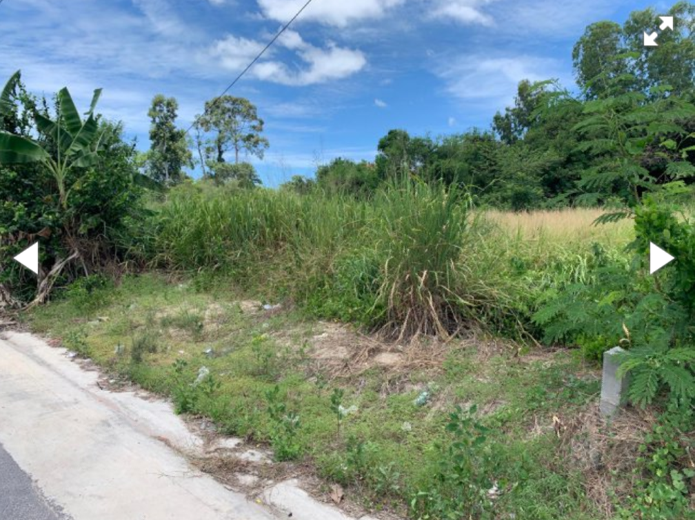 ขายที่ดินสวยถมแล้วราคาถูกที่สุด 215 ตรว. อ.บ้านฉาง จ.ระยอง